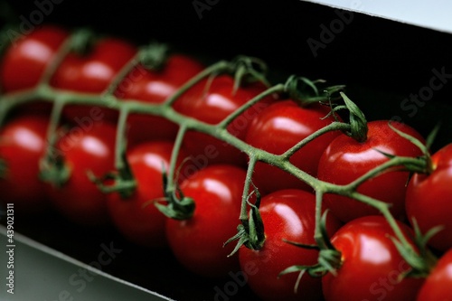 pomidorki © asiabaczek
