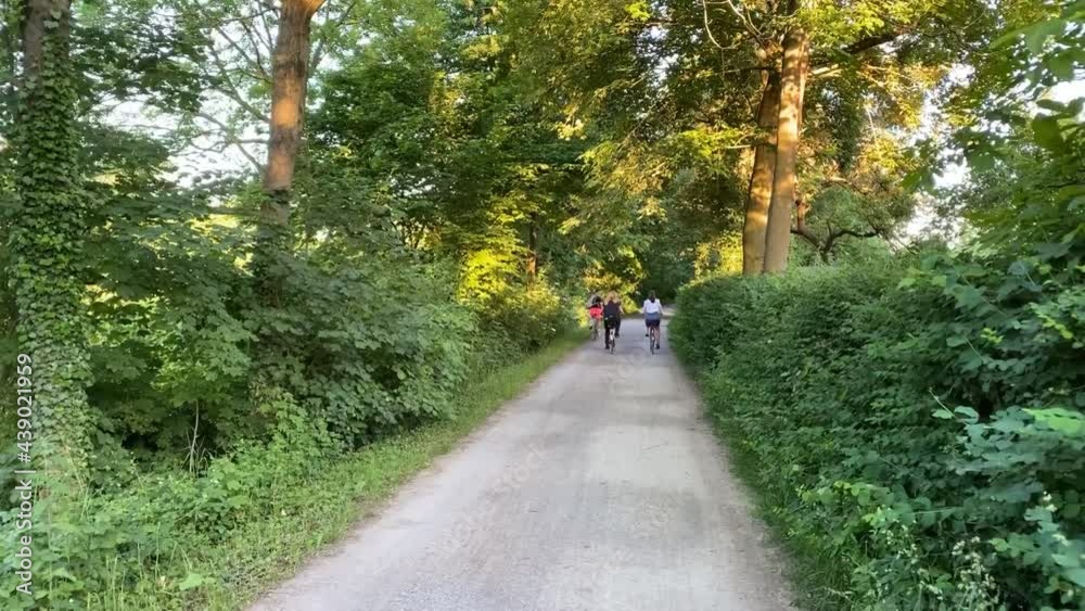 Group of people ride bicycles in a forest or park in Germany, on a sunny summer day Group of people ride bicycles in a forest or park in Germany, on a sunny summer day