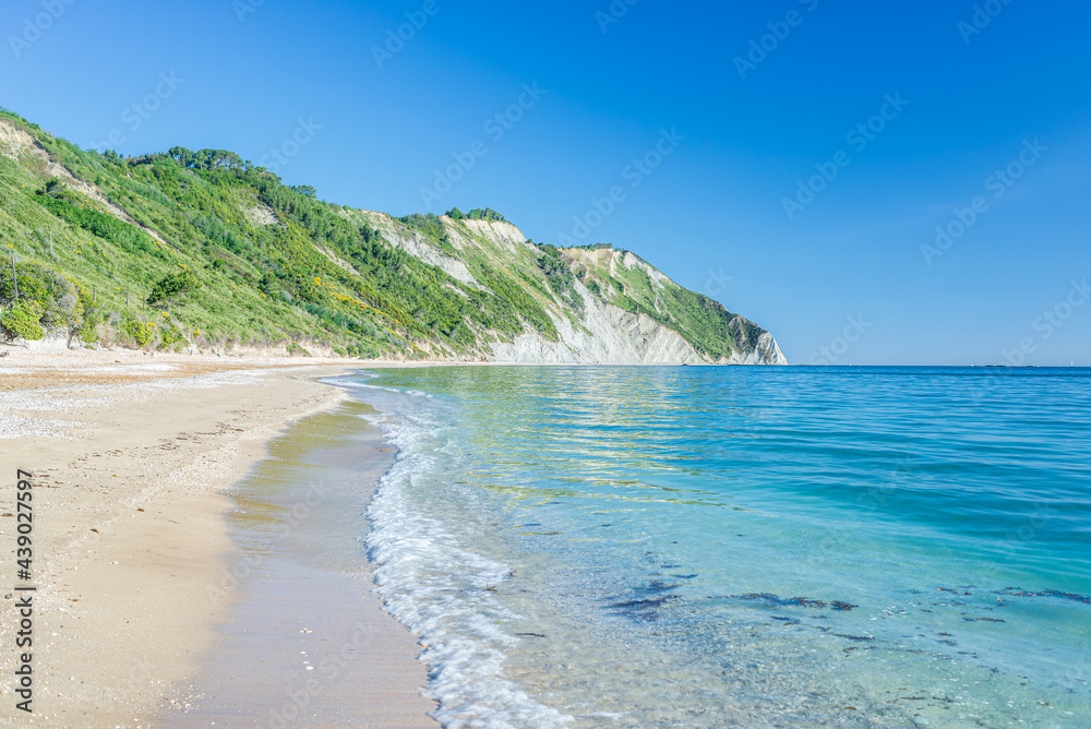 The beach of Mezzavalle unique bay in Conero natural park dramatic coast headland rock cliff adriatic sea Italy turquoise transparent water