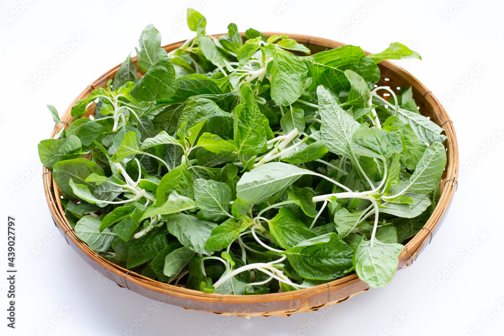 Amaranth white stems in bamboo basket on white background. Amaranth white stems in bamboo basket on white background.