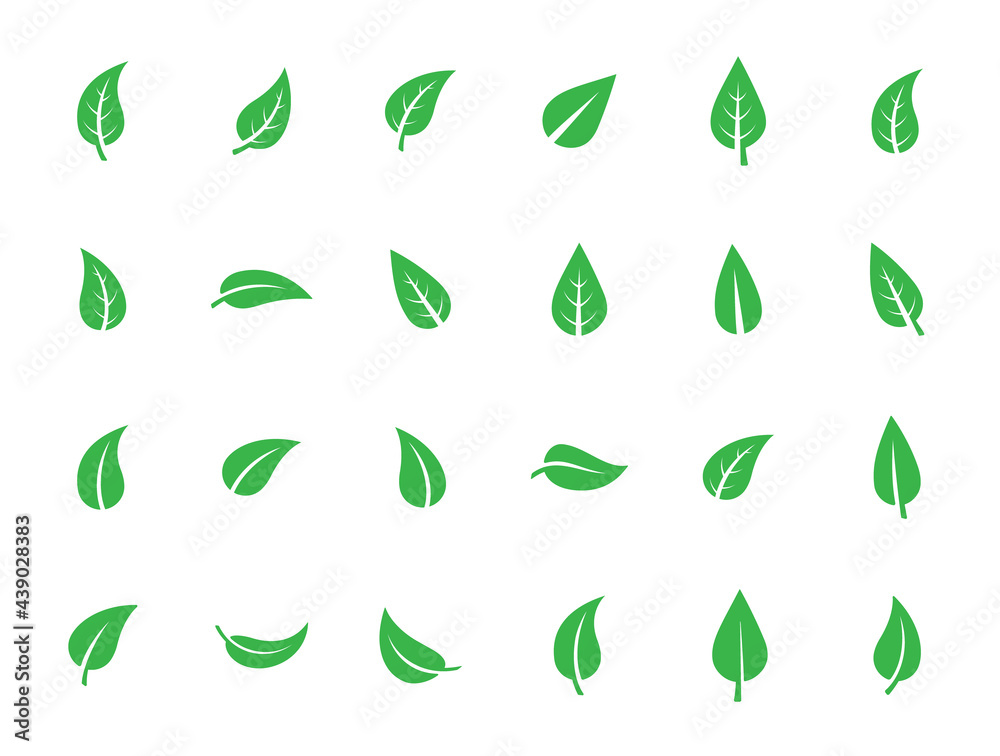 Set of isolated green leaf icons on white background. Various forms of green leaves of trees and plants. Abstract natural leaf icons. Elements for ecotypes and biotypes. Vector illustration. EPS 10 Set of isolated green leaf icons on white background. Various forms of green leaves of trees and plants. Abstract natural leaf icons. Elements for ecotypes and biotypes. Vector illustration. EPS 10