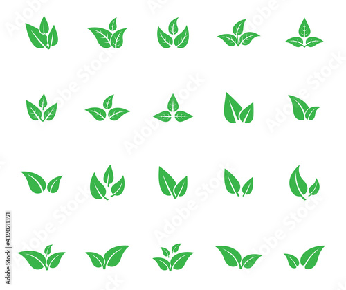 Set of isolated green leaf icons on white background. Various forms of green leaves of trees and plants. Abstract natural leaf icons. Elements for ecotypes and biotypes. Vector illustration. EPS 10