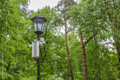 Black vintage iron lantern in the daytime among the green trees in the forest