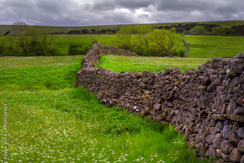 Typical dry stone wall in the North Pennines, County Durham, England, in spring