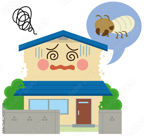 住宅　シロアリ