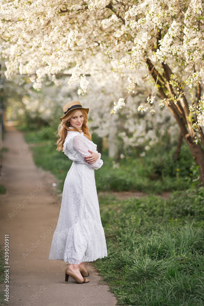 A girl in a white dress walks near a cherry blossom 2707. A girl in a white dress walks near a cherry blossom 2707.