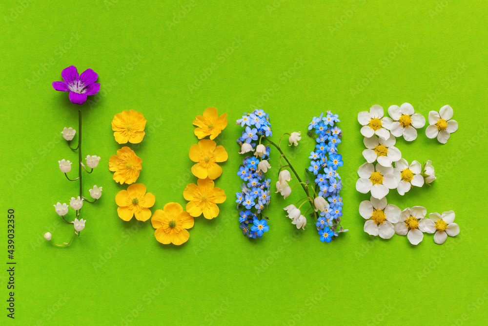The JUNE word laid out from the inflorescences of wild forest flowers: lily of the valley, forget-me-not, buttercup and others. Fresh and bright summer floral background. The JUNE word laid out from the inflorescences of wild forest flowers: lily of the valley, forget-me-not, buttercup and others. Fresh and bright summer floral background.