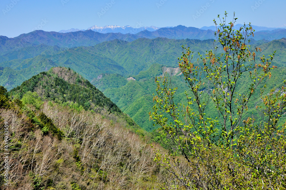 Obraz premium 奥秩父山塊 両神山山頂から望む八ヶ岳と秩父山地の展望 奥秩父 両神山（剣ヶ峰）より中央奥が八ヶ岳（権現岳、赤岳、横岳、硫黄岳、天狗岳、縞枯山、北横岳、蓼科山）、左から高天原山（神立山）、大蛇倉山、石仏、御座山、その手前左から滝谷山、ブドー沢ノ頭、帳付山、倉門山、手前左が狩倉山