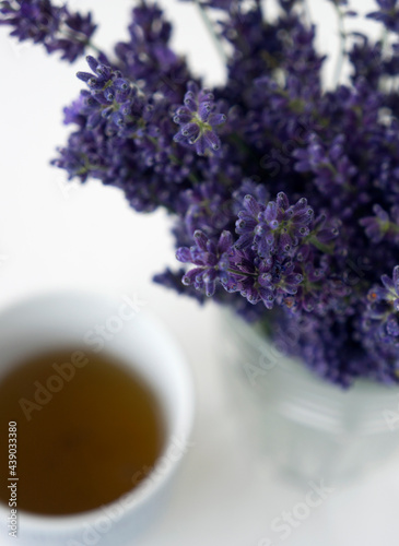 Lavender (Lavandula) blossoms. Bright purple flowers. Lavender bouquet.