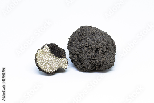 black truffle, tuber aestivum, white background photo