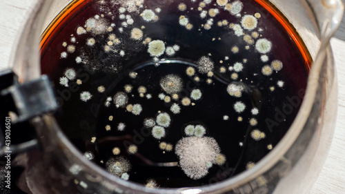 Fungus, moldy food, moldy coffee drink top view. Black coffee is covered with fungus photo