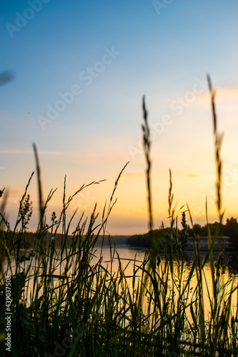 grass  sunset  nature  sky  landscape  field  sun  summer  agriculture  wheat  water  plant  sunrise  morning  evening  farm  natural  clouds  green  cereal  yellow  rural  meadow  dawn  golden
