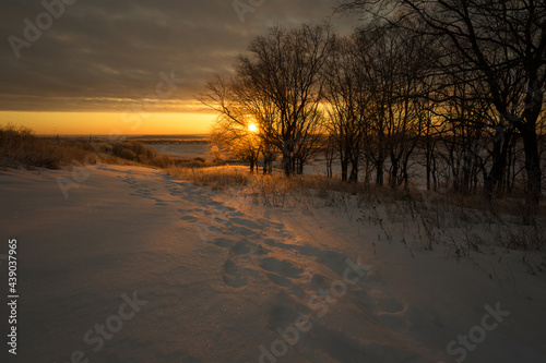 sunset on the beach © Evgenii Ryzhenkov