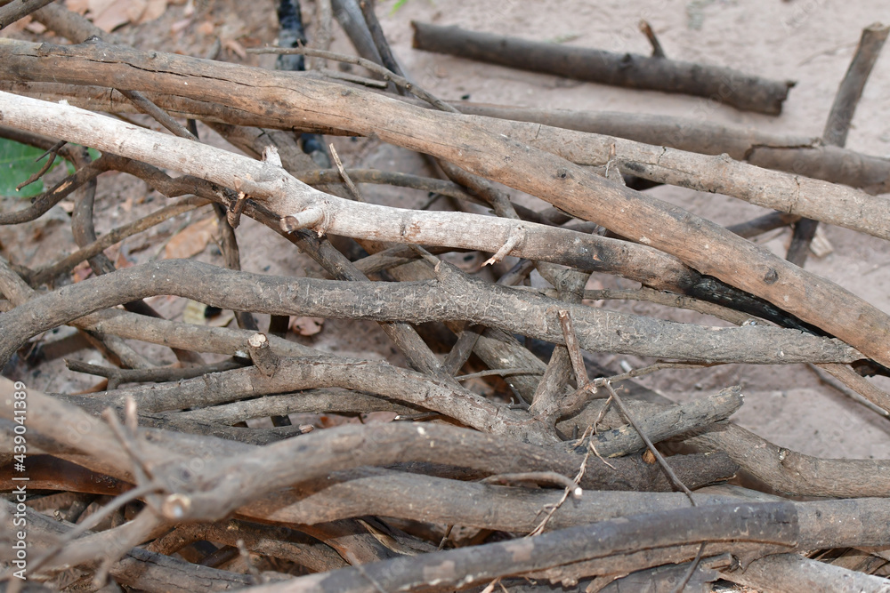 brown small logs