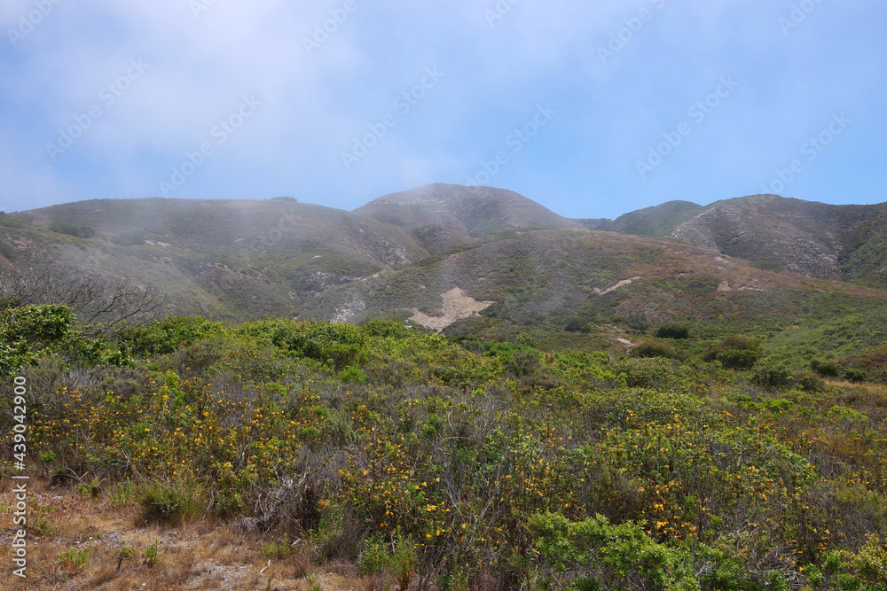 Obraz premium Central California coastal mountains with fog coming in from the ocean on an early summer day