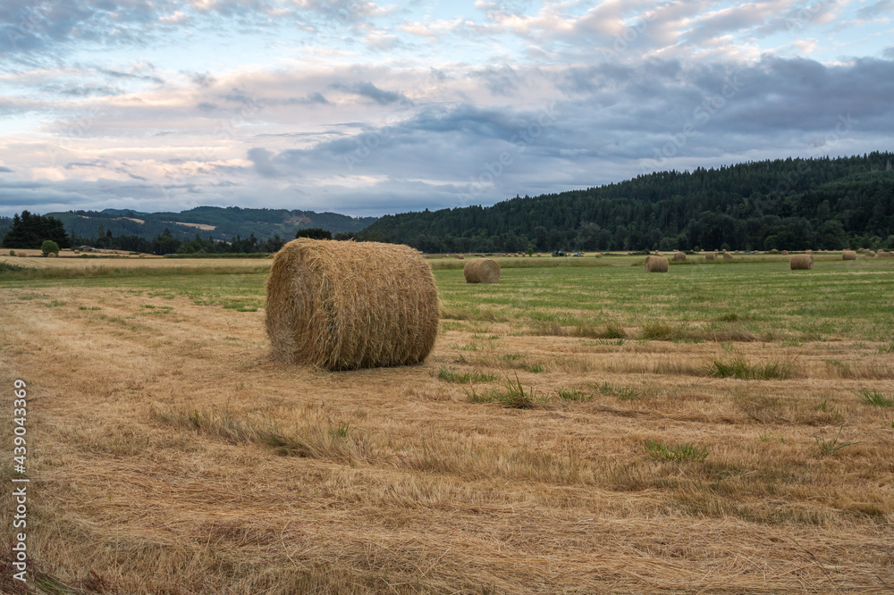 Rolled hay bale on a field at sunset