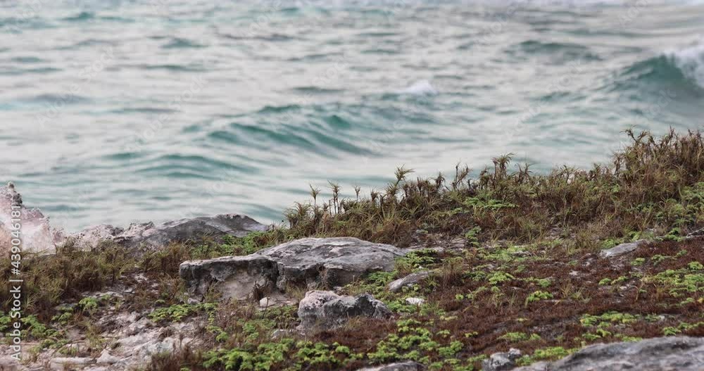 Rocky Shoreline With Waves Passing Beyond Rocky Shoreline With Waves Passing Beyond