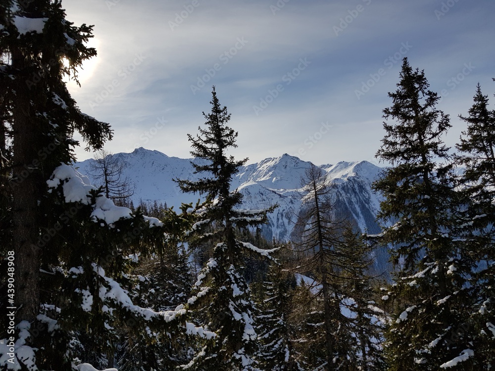 Forrest in Snow Covered Mountains During Sunny Day Tarentaise Savoie French Alps