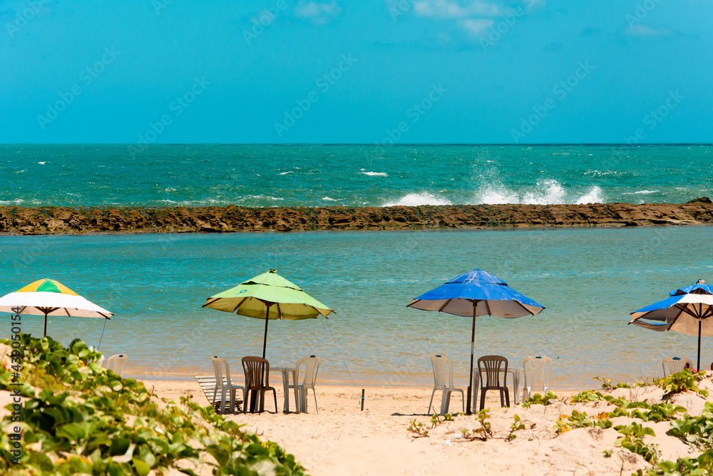 Obraz premium Natal Beach – Rio Grande do Norte – Natural swimming pool