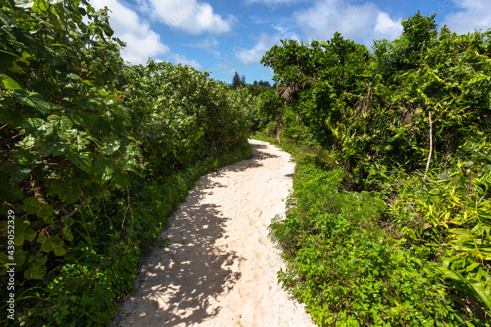 Obraz premium 沖縄県宮古島、6月の風景・日本