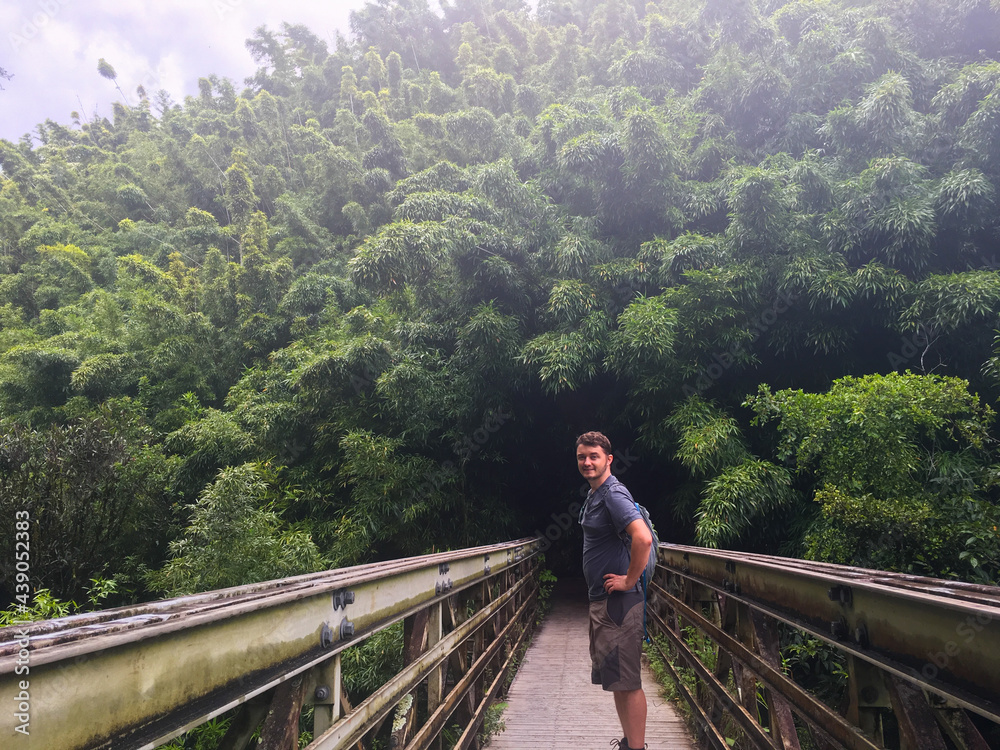 Man Standing on Bridge on Jungle Path