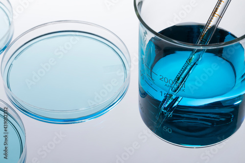 Petri dish with blue liquid and pipette photo