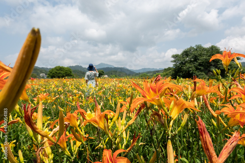 woman traveling at the tiger lily farm