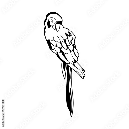 sketch of parrot on white background. cartoon. vector. eps