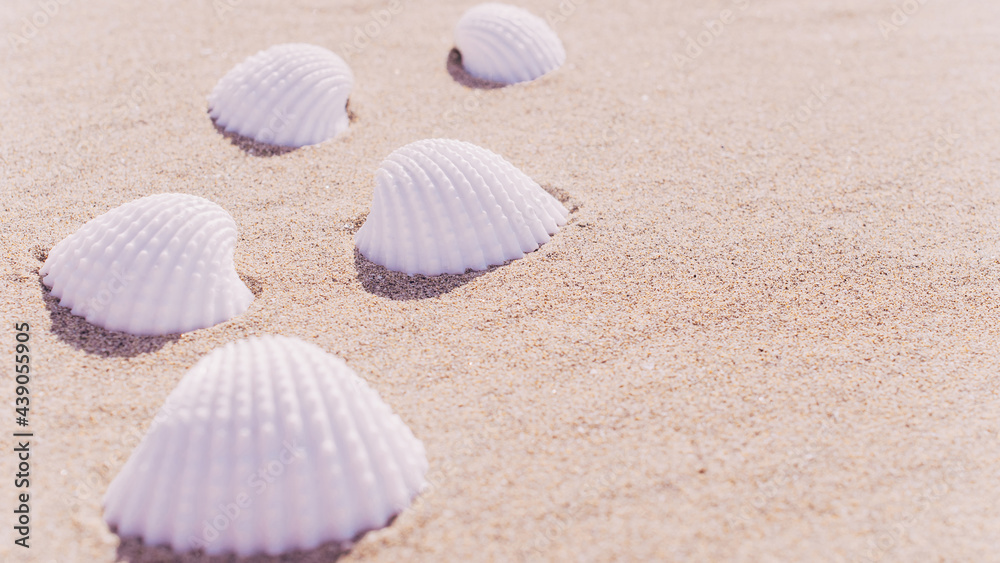 Shell sea with seashells, shells on sand tropical ocean beach. Copy space of summer vacation and business travel concept. Shell sea with seashells, shells on sand tropical ocean beach. Copy space of summer vacation and business travel concept.