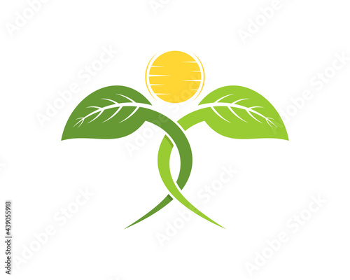Nature leaf crossed with sunrise in the middle