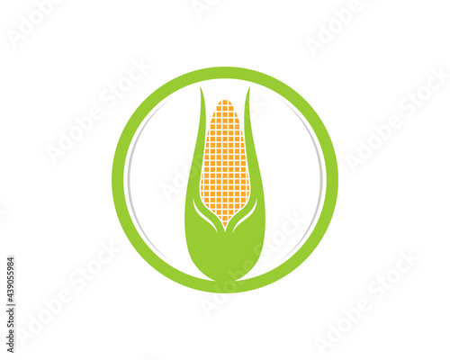 Corn inside the circle shape logo