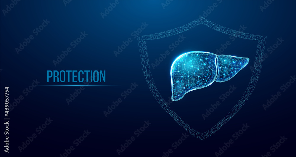 Tummy Protection Animation Human stomach protection. Wireframe low poly style. Concept for medical ...