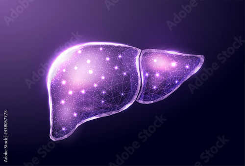 Human purple liver. Wireframe low poly style. Concept for medical, treatment of the hepatitis.  Abstract modern 3d vector illustration on dark background.