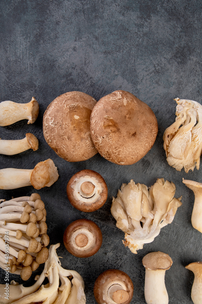 Fototapeta premium Mushrooms varieties on dark background. Delicious and nutritious ingredients for vegan food.
