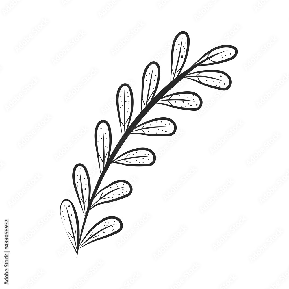 Plant leaf icon Plant leaf icon