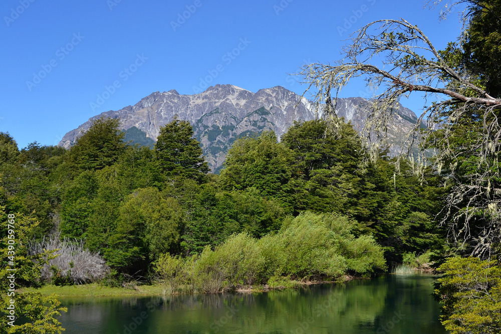 Green lake in the woods with mountain vista on sunny summer day.