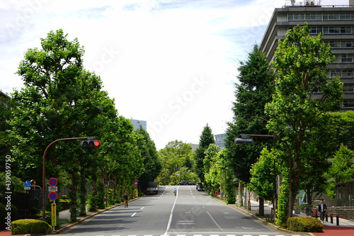 Kasumigaseki, Governmental office and Urban road lined in Tokyo, Japan - 日本 東京都 霞ケ関 官公庁街 街並み photo