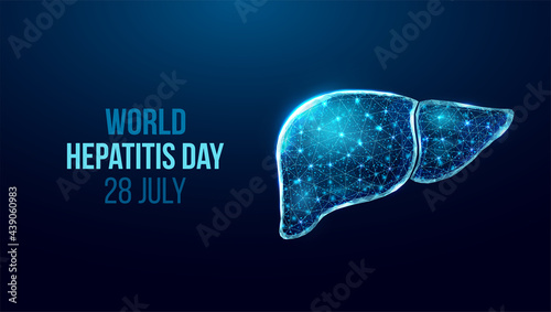 Liver wireframe. World hepatitis day concept. Banner template with glowing low poly liver. Futuristic modern abstract. Isolated on dark background. Vector illustration. photo