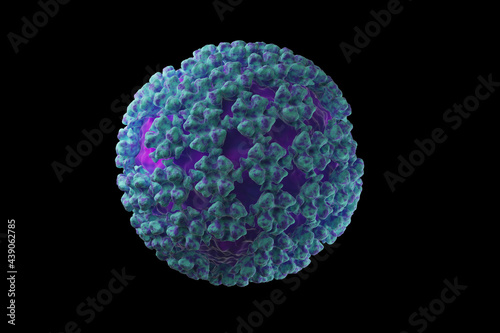 Hantavirus surface structure medical illustration Sin Nobre virus photo