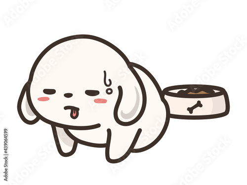 食欲の無い犬　体調不良