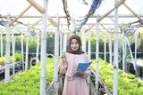 Asian muslim girl records the development of hydroponic vegetables garden in the village