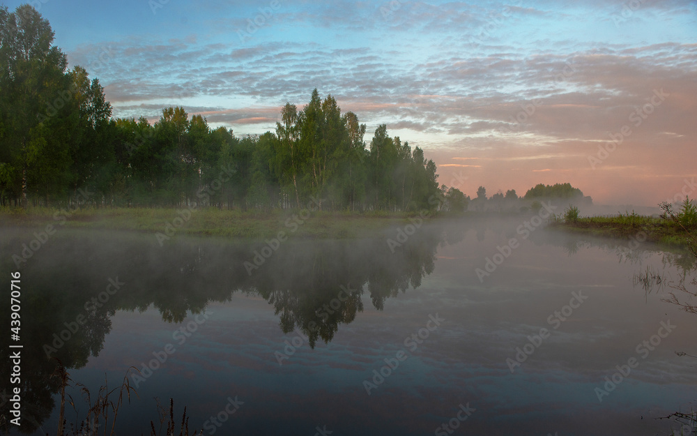 Fototapeta premium nature