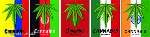 Top 10 countries in the world that produce the most cannabis