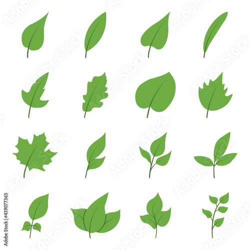 Set of tree leaves in a flat style. Vector illustration of leaves and branches with leaves isolated on a white background.