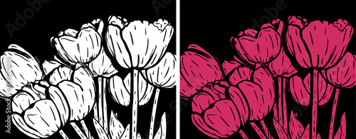 Vector illustration of white and pink tulips on a black background. Modern Floral Wall Art.
