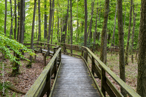 Hiking trail on boardwalks through the Todtenbruch Moor in the Eifel region © Reiner