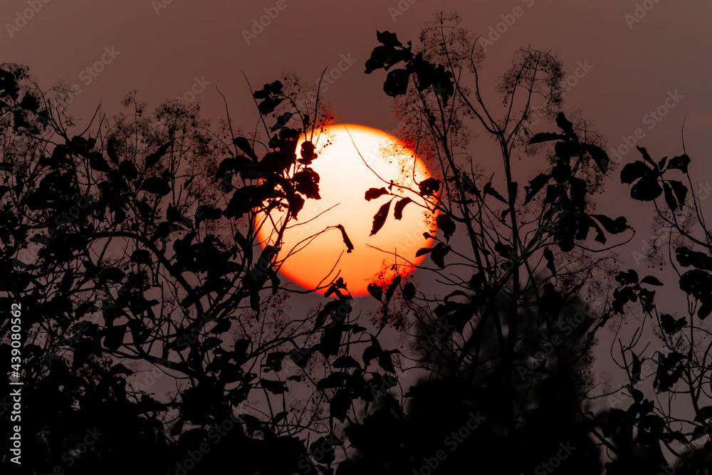 halloween background with sunset