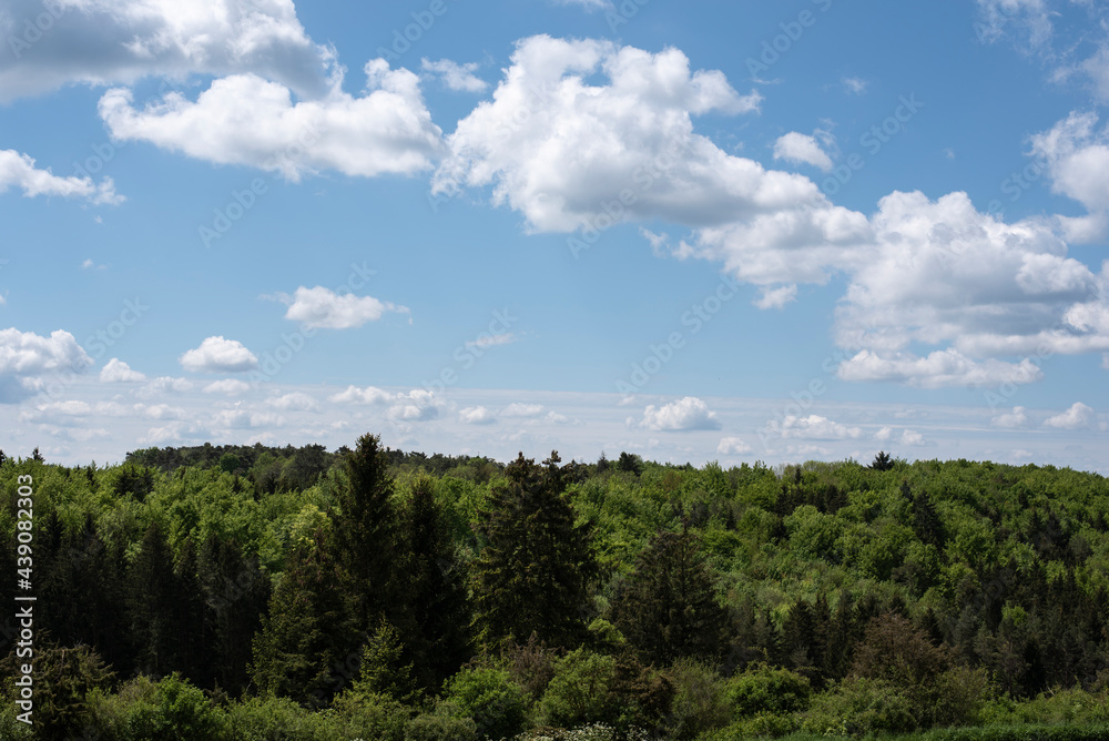 wooded hills in swabian alb in spring wooded hills in swabian alb in spring