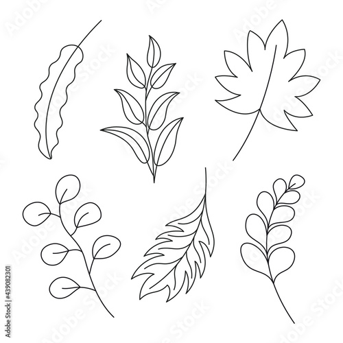 Set of black hand drawn thin line cute doodle leaves. Design element collection isolated on white.