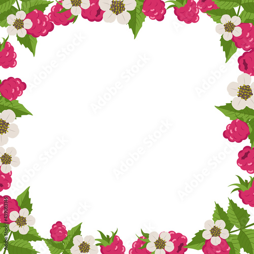 Frame with raspberries, leaves and white flowers on a white background. Bright berry square pattern. Summer food banner